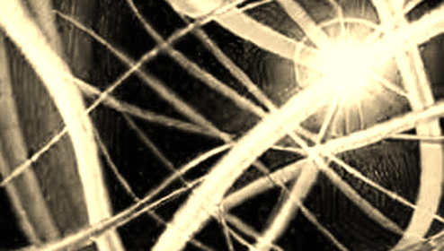The Silence Speaks Louder: Decoding the Optical Rout in AI Infrastructure